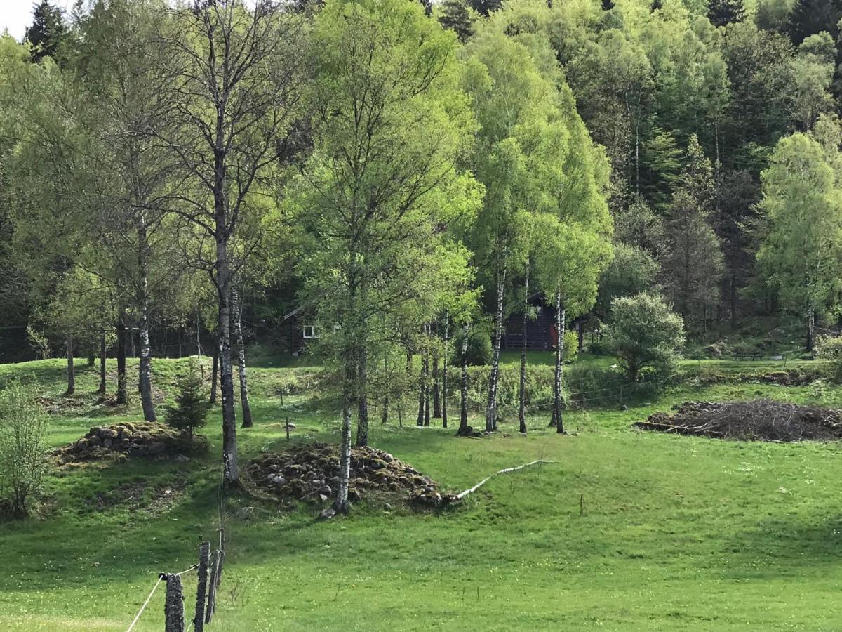 Oernatorpet * Ullared